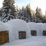 igloo eco bivouac