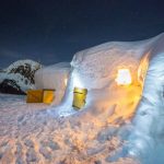 igloo multi blacksheep