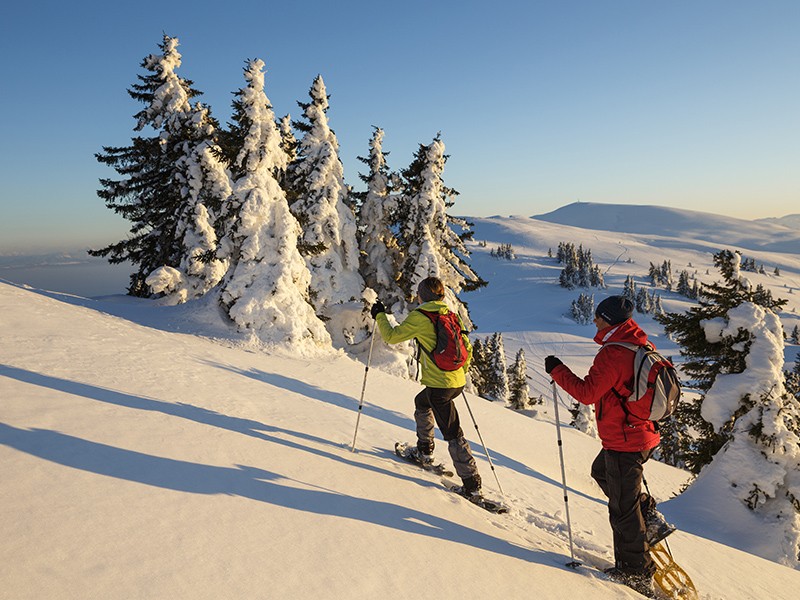 Raquettes à neige dans la Montagne de l'Ain - des itinéraires d'exception !