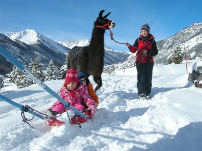 Balade avec les lamas