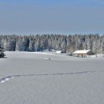 raquettes-Chapelles-des-Bois-jura