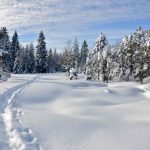 raquettes-Chapelles-des-Bois-jura