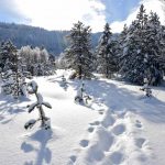 raquettes-Chapelles-des-Bois-jura