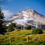 timberline-USA