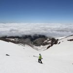 timberline-USA