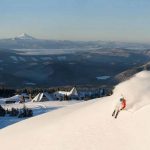 timberline-USA