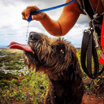 camelbak hydratation