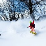 monoski snowgunz