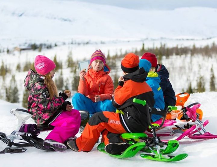 Premiers flocons de neige, l'appel de la luge !