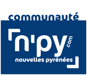 logo npy