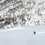 voyage freeride