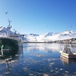 Islande Michel Morere
