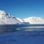 Islande Michel Stephane Monari