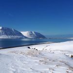 Islande Michel Stephane Monari