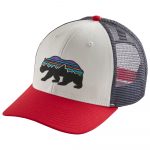 patagonia fitz roy bear trucker white