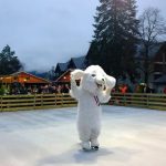 patinoire-saint-lary