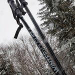 Bâtons de ski WYL noir