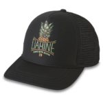 casquette 2020 trucker dakineapple