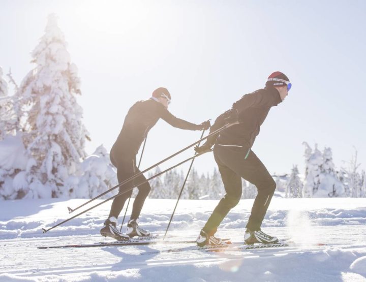 Comment choisir ses skis de fond skating ?