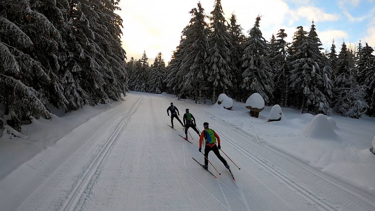 ski de fond en foret